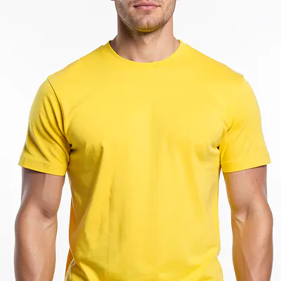 Basic T Shirt primary image