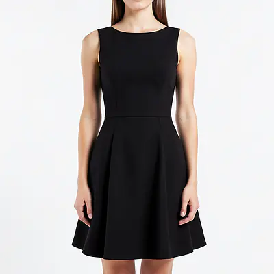 Elegant Flared Dress primary image