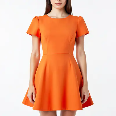 Elegant Flared Dress primary image