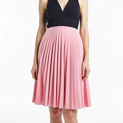 Pleated Skirt 2 primary image