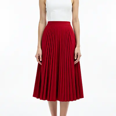 Pleated Skirt 2 primary image