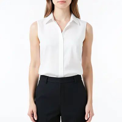 Elegant Blouse With Chocker primary image